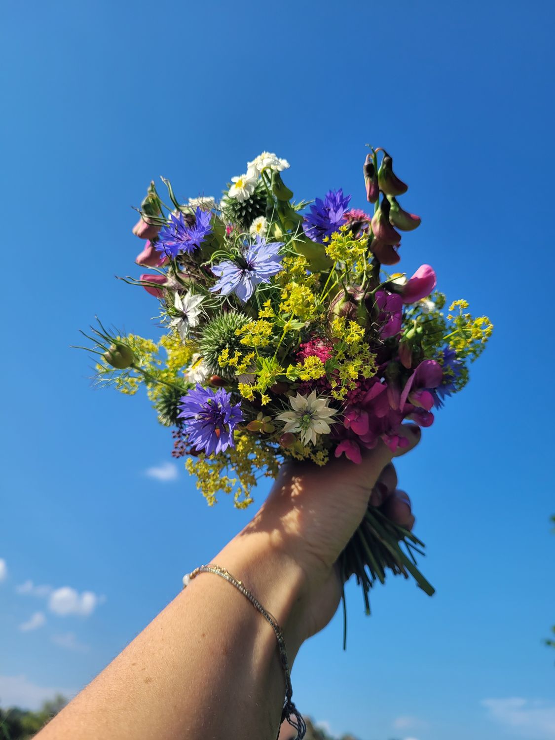Bunter Feldblumenstrauss vor blauem Himmel